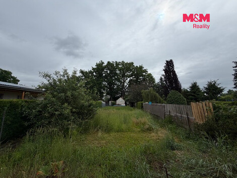 945/foto12_11554927_w6k6g.jpg