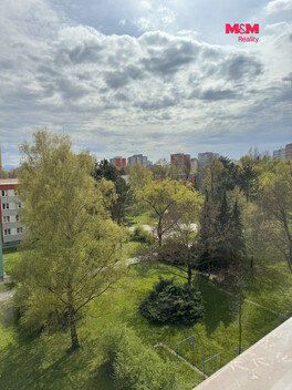 945/foto12_11568227_ws08w.jpg
