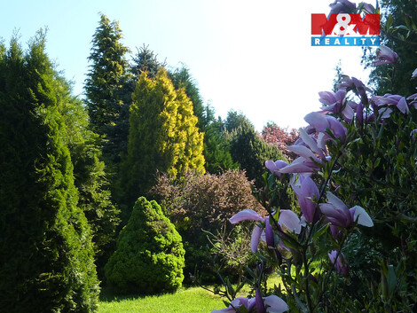 946/foto12_11511236_1mn3gk.jpg