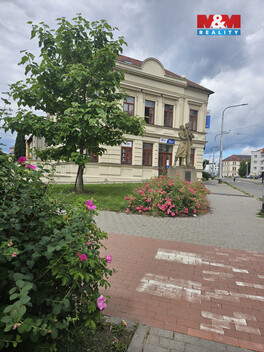 946/foto12_11511760_1cicts.jpg