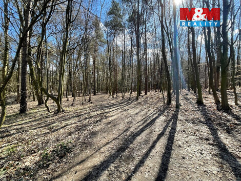 946/foto12_11512854_en1zw.jpg