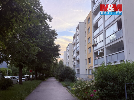 946/foto12_11514305_lynw0.jpg