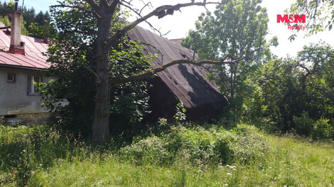 946/foto12_11514942_trtf0.jpg