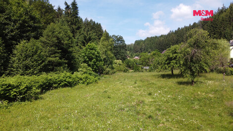 946/foto12_11514942_tuwww.jpg