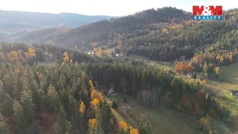 946/foto12_11515873_1enyvw.jpg