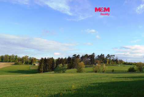 946/foto12_11516693_11fepo.jpg