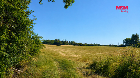 946/foto12_11516693_11qswc.jpg