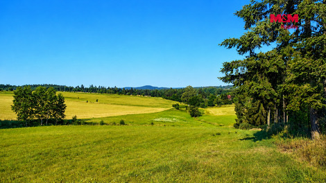 946/foto12_11516693_liug0.jpg