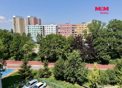 947/foto12_11516656_1gumag.jpg
