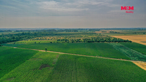 947/foto12_11525951_awzzs.jpg