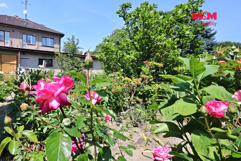 947/foto12_11532470_18vlyk.jpg