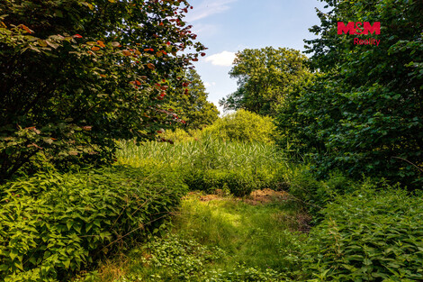 947/foto12_11555574_irlrc.jpg