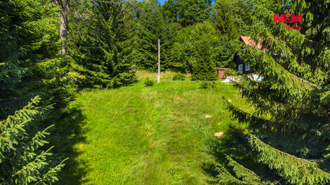 948/foto12_11523738_1dxvos.jpg