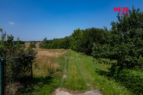 948/foto12_11528068_d3osc.jpg