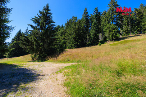 948/foto12_11529396_c2rxg.jpg