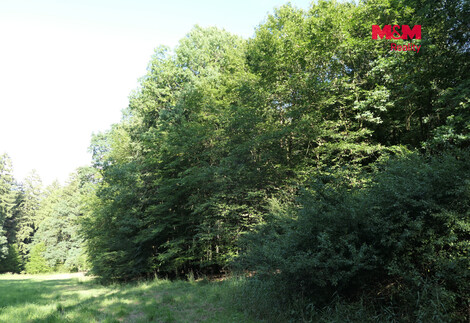 948/foto12_11541785_lfi5g.jpg