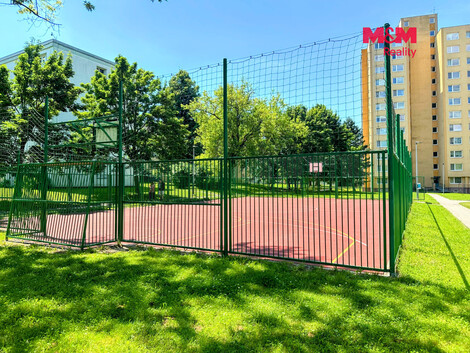 949/foto12_11524308_olpkk.jpg