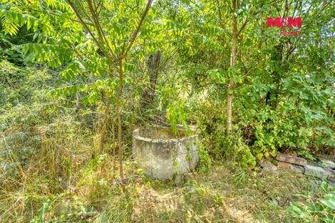 949/foto12_11530505_36a4c.jpg