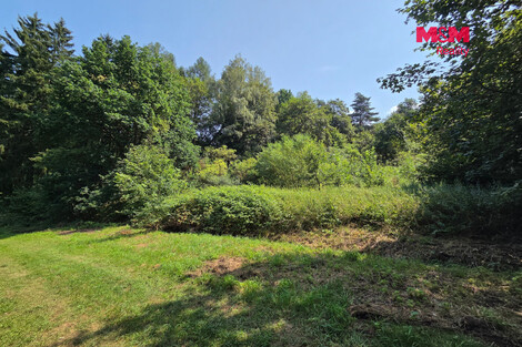 949/foto12_11535012_1251ec.jpg