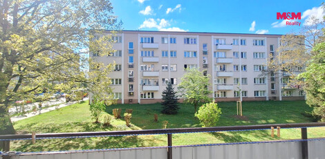 950/foto12_11529977_8lkg.jpg