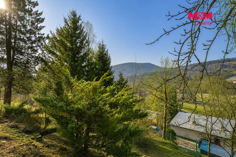 950/foto12_11531858_1di6y8.jpg