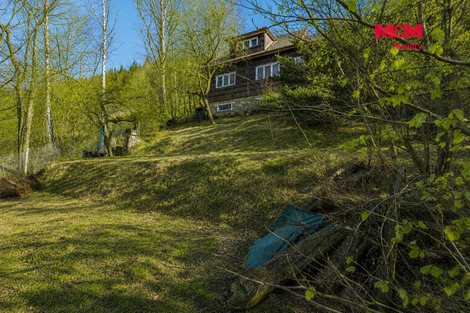 950/foto12_11531858_cpzt4.jpg