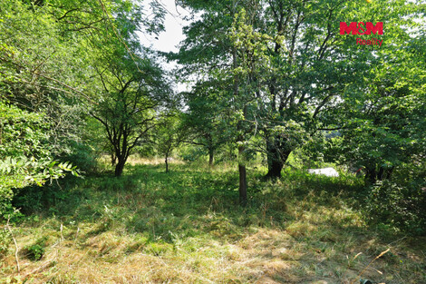 950/foto12_11533539_uba4.jpg