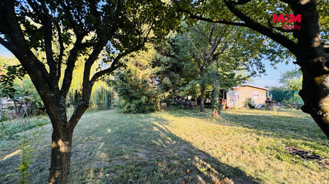 950/foto12_11534905_y2onc.jpg