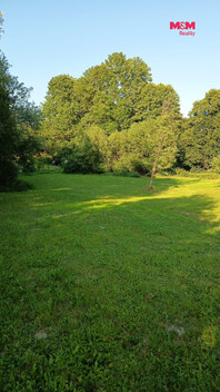 950/foto12_11536192_1954s8.jpg