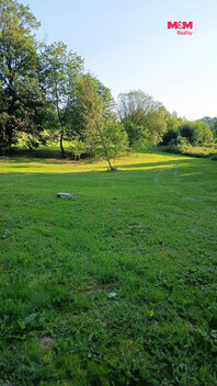 950/foto12_11536192_1mgh18.jpg