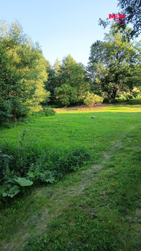 950/foto12_11536192_zfl7w.jpg