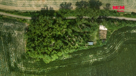 950/foto12_11565391_lpl6w.jpg