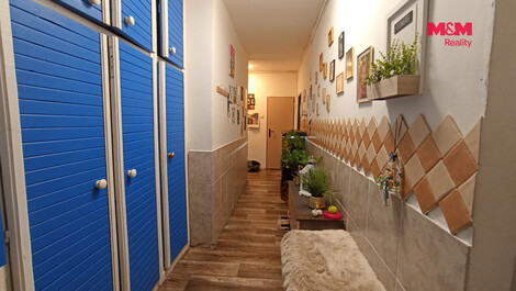 951/foto12_11533916_htusg.jpg