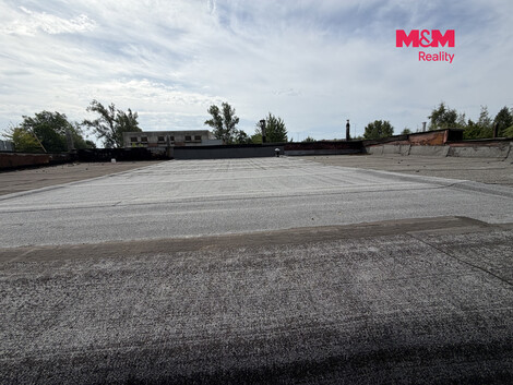 951/foto12_11534909_2x8ck.jpg