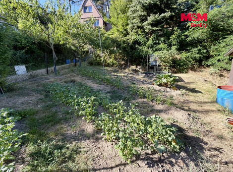 951/foto12_11536643_p6h6g.jpg