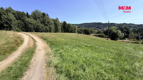 951/foto12_11537994_1cikjk.jpg