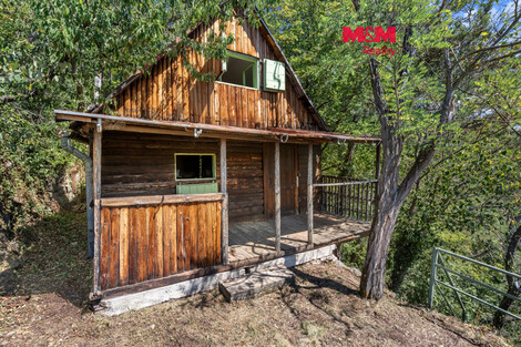 951/foto12_11538460_q6bgg.jpg