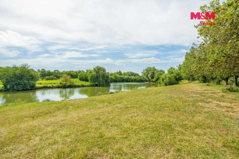 951/foto12_11538589_mt8co.jpg