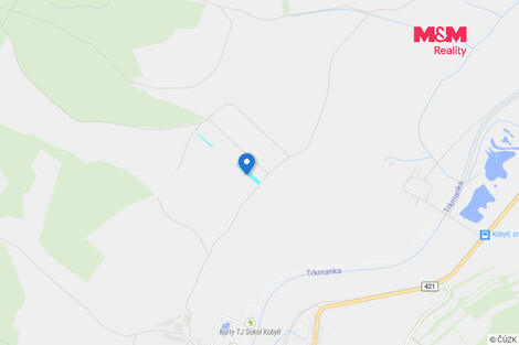 951/foto12_11539690_gcdsg.jpg