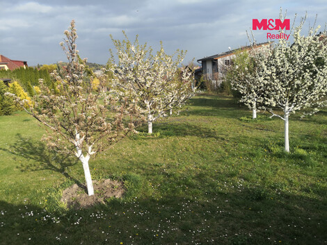 951/foto12_11540116_pjcao.jpg