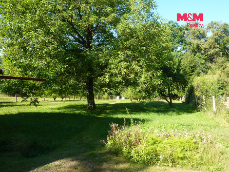 951/foto12_11540468_2fzqw.jpg