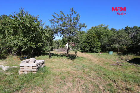 951/foto12_11543269_ghubg.jpg