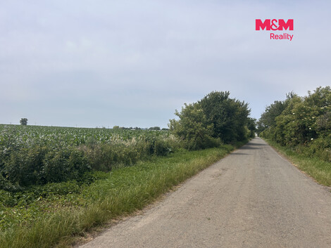 952/foto12_11538600_161r50.jpg
