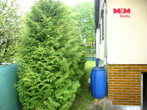 952/foto12_11539131_1ngwu8.jpg