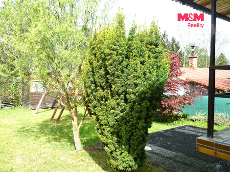 952/foto12_11539131_9qt8s.jpg