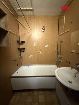 953/foto12_11542749_gd7t0.jpg