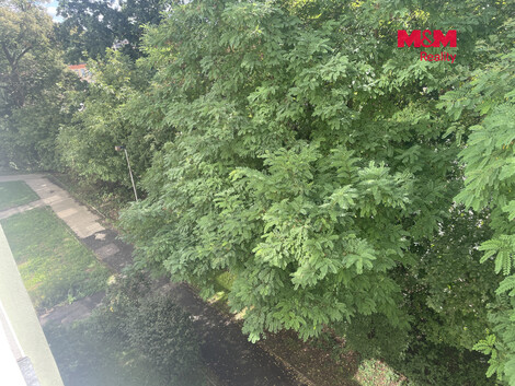 953/foto12_11546287_13z7t0.jpg
