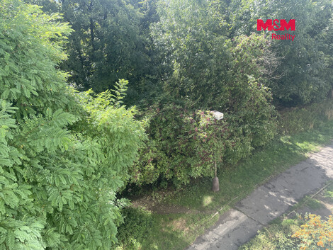 953/foto12_11546287_49ad4.jpg