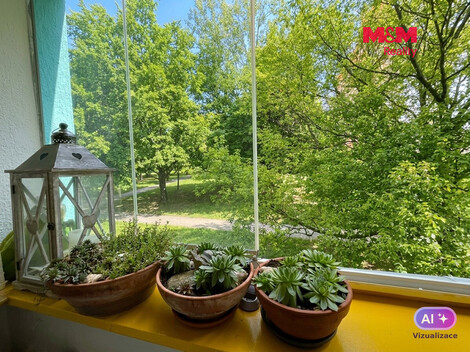 953/foto12_11546322_uej5w.jpg