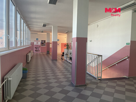 953/foto12_11548650_1a2ep8.jpg